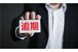 枣强企业清欠服务