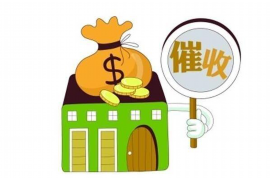 枣强融资清欠服务