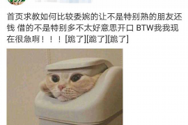 枣强债务清欠服务